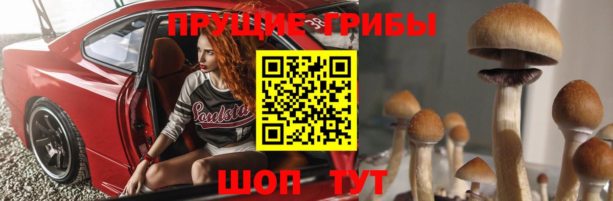 Псилоцибиновые грибы MAGIC MUSHROOMS  Вход с VPN  Хабаровск 